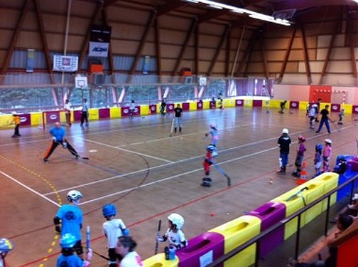 2013 06 13 OK journée hockey