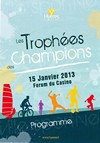 miniature trophées champions 2013